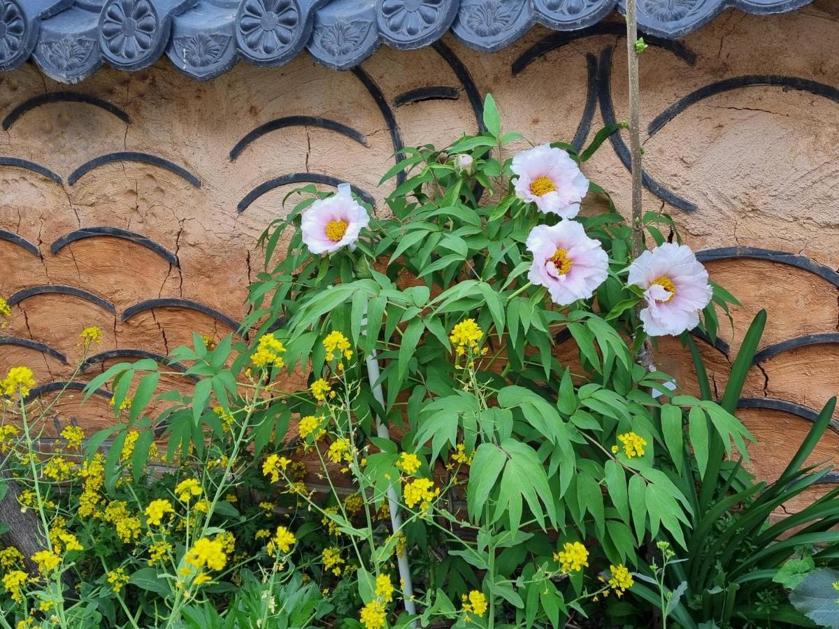 Dasomchae Hanok Stay Gwangju Metropolitan City Extérieur photo